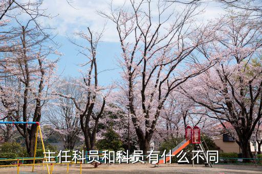 国家公务员的科员是什么,主任科员和科员有什么不同