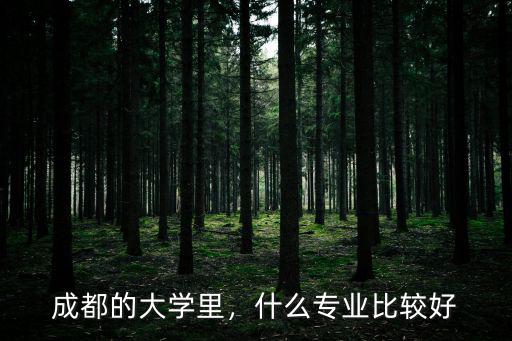 川大的什么专业好点,成都的大学里