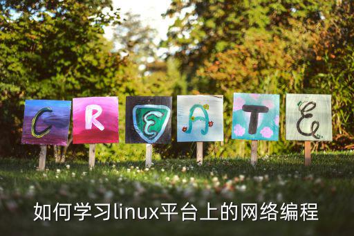 怎么学网络编程,网络编程学哪种好