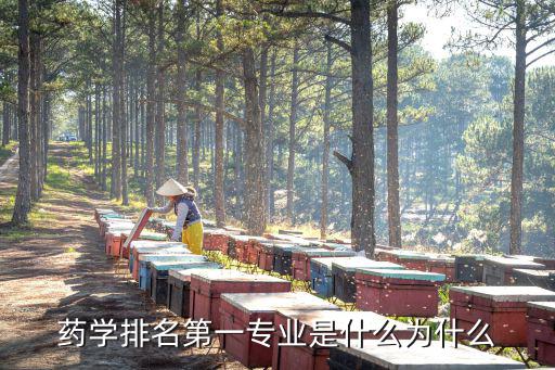 药学专业是学什么的,药学主要学习内容是什么的