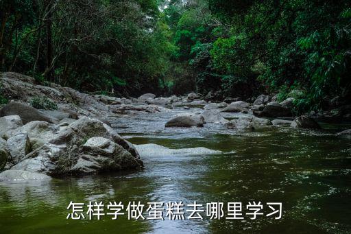 怎样学做蛋糕去哪里学习