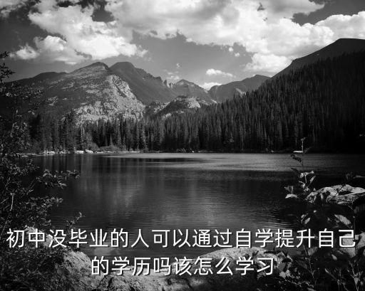 初中没毕业的人可以通过自学提升自己的学历吗该怎么学习