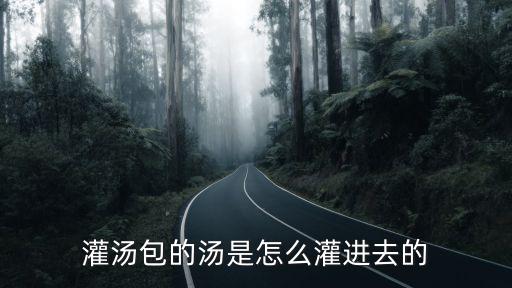 广东灌汤包怎么去,神奇的发面灌汤包怎么制作