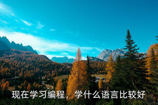 2016编程学什么语言好,开发单片机学什么语言好
