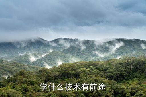 学什么技术有前途