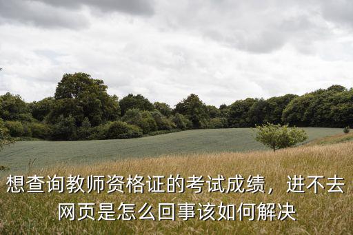 想查询教师资格证的考试成绩，进不去网页是怎么回事该如何解决