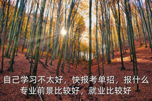 自己学习不太好，快报考单招，报什么专业前景比较好，就业比较好
