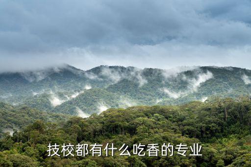 技校有什么好的专业好,上技校学什么专业好