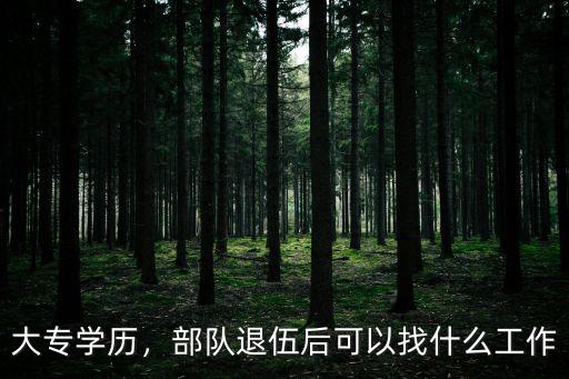 大专学历，部队退伍后可以找什么工作