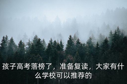 孩子高考落榜了，准备复读，大家有什么学校可以推荐的