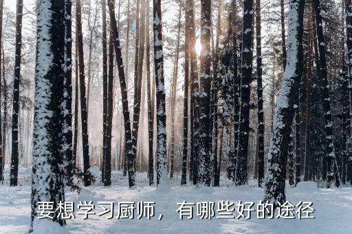 想做厨师哪里学,要想学习厨师