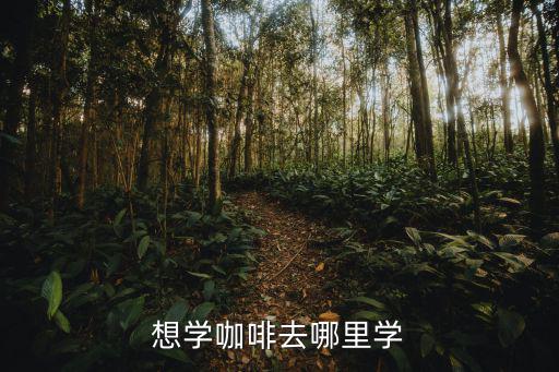 北京哪里学咖啡师比较好,要自己去学咖啡师吗