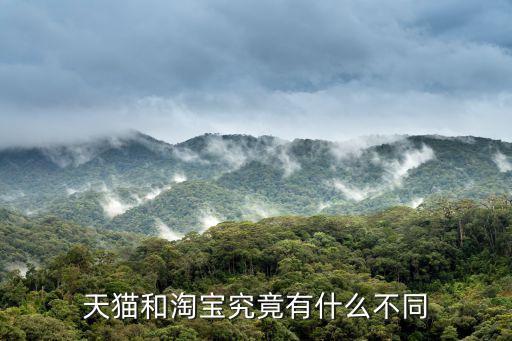 天猫和淘宝究竟有什么不同