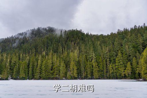 在昆山哪里可以学二胡,哪里可以学二胡