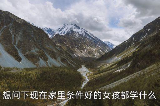 想问下现在家里条件好的女孩都学什么