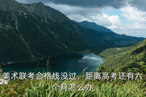 宁夏联考没过怎么办,美术联考合格线没过