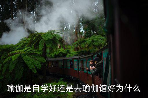 正位瑜伽去哪里学,瑜伽是自学好还是去瑜伽馆好