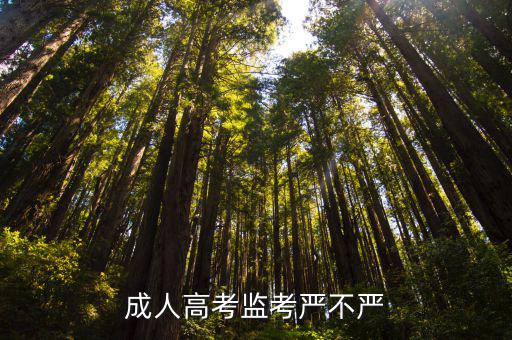 成人高考监考老师怎么防代考,成人高考监考严不严