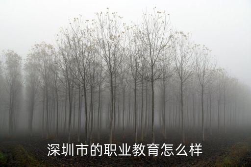 深圳市的职业教育怎么样