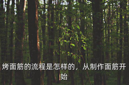 烤面筋的流程是怎样的，从制作面筋开始