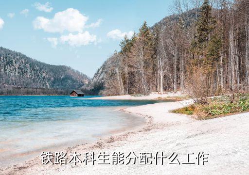 铁路本科生能分配什么工作