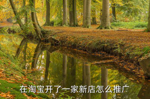 在淘宝开了一家新店怎么推广