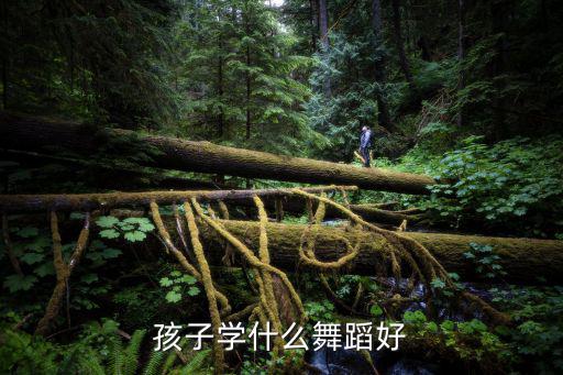 孩子学什么舞蹈好