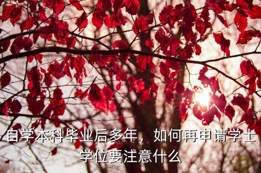 自学本科毕业后多年，如何再申请学士学位要注意什么