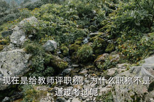 教师职称怎么报考,该怎么进行教师职称评选