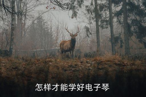 怎样才能学好电子琴