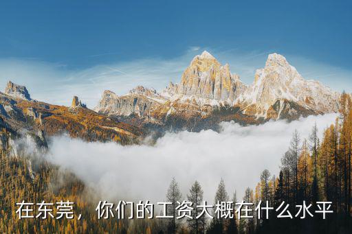 在东莞，你们的工资大概在什么水平