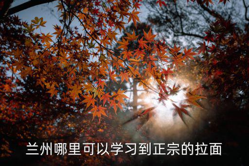 兰州哪里可以学习到正宗的拉面
