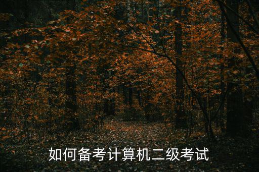 怎么考全国计算机二级,计算机等级考试怎么考