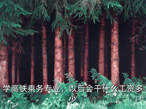 高铁服务专业是什么,学高铁乘务专业