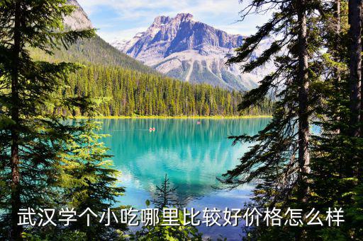 武汉学个小吃哪里比较好价格怎么样