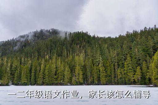 小学生二年级语文怎么辅导好,二年级升三年级语文成绩一般