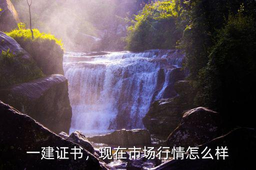 一建证书，现在市场行情怎么样