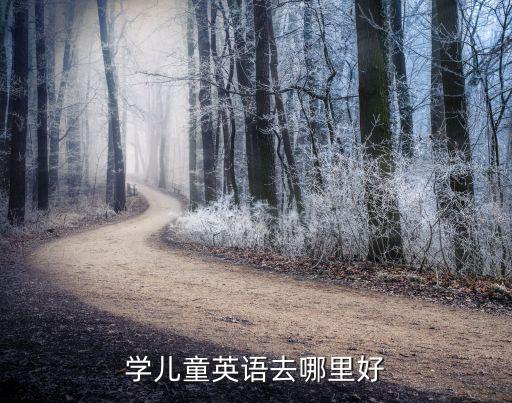 英语夏令营去哪里好,去参加夏令营靠谱吗