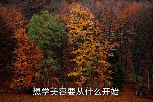 想学美容要从什么开始