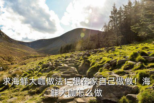 海鲜大咖有什么配方,求海鲜大咖做法