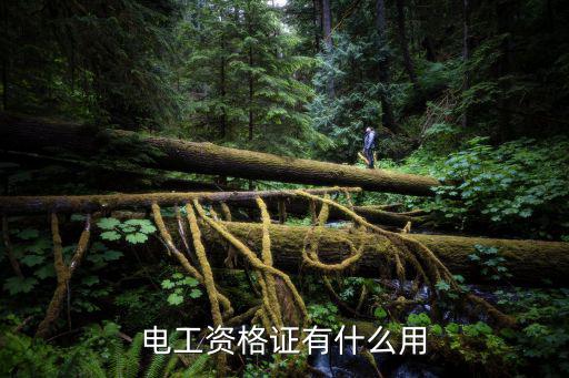 电工技能证是个什么,电工资格证有什么用
