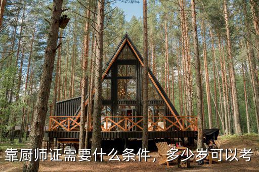 考厨师证需要什么条件,初级厨师证考些什么