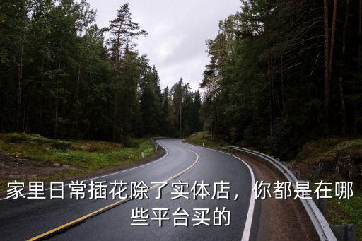 家里日常插花除了实体店，你都是在哪些平台买的