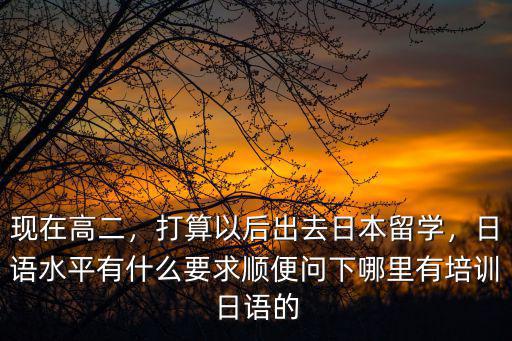 现在高二，打算以后出去日本留学，日语水平有什么要求顺便问下哪里有培训日语的
