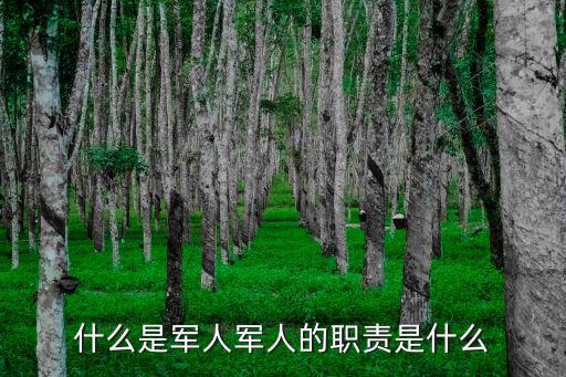 军人的职业是什么,军人的职责是什么