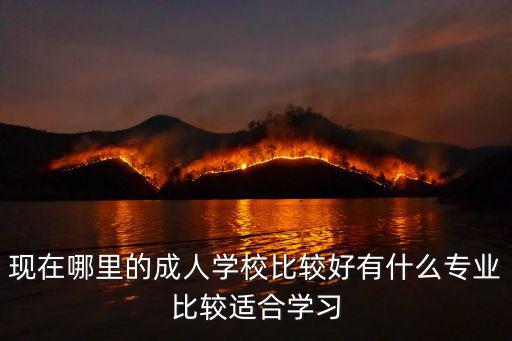 现在哪里的成人学校比较好有什么专业比较适合学习