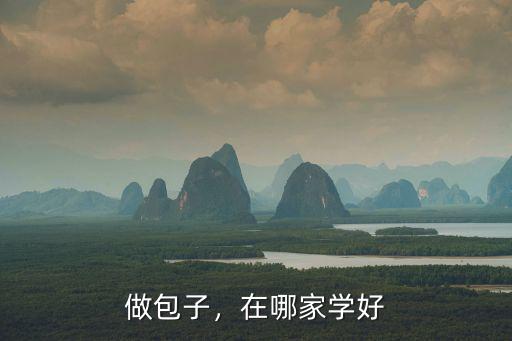 深圳哪里可以学做包子,深圳哪里可以学灌汤包