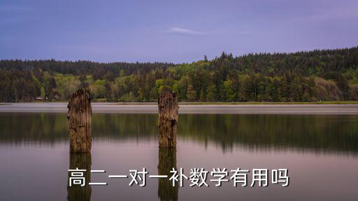 高二一对一补数学有用吗
