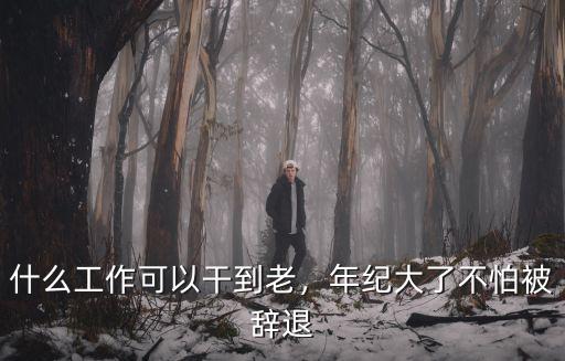 什么工作可以干到老，年纪大了不怕被辞退