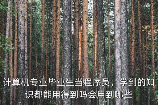 计算机专业毕业生当程序员，学到的知识都能用得到吗会用到哪些